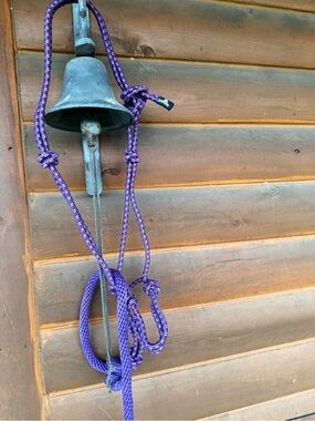 Mustang rope halter with leadrope